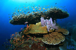 Nusa Penida, a small island between Bali and Lombok.
EOS... by Arthur Telle Thiemann 